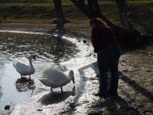 Bergung eines Schwanz mit Angelhaken im Hals.