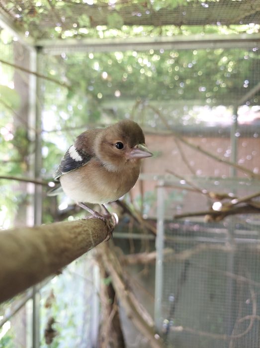 Wir suchen eine Tierheimleitung!