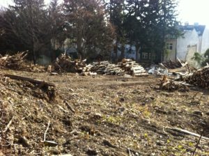 Waldrodung in Hernals. Innerhalb von zwei Tagen war das Waldstück entfernt.